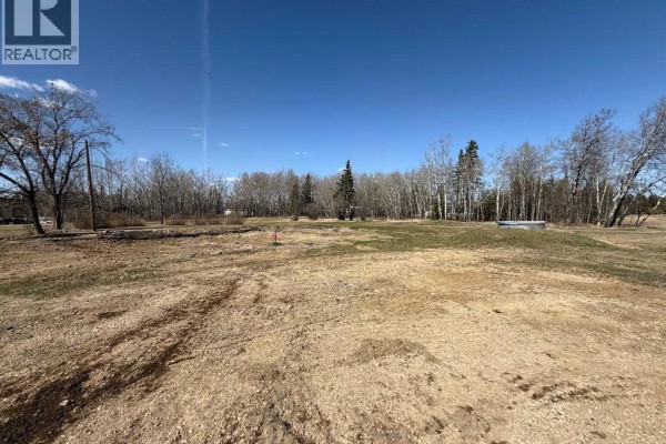 3004 Township Rd. 765, Peoria, AB T0H3P0 Photo 4
