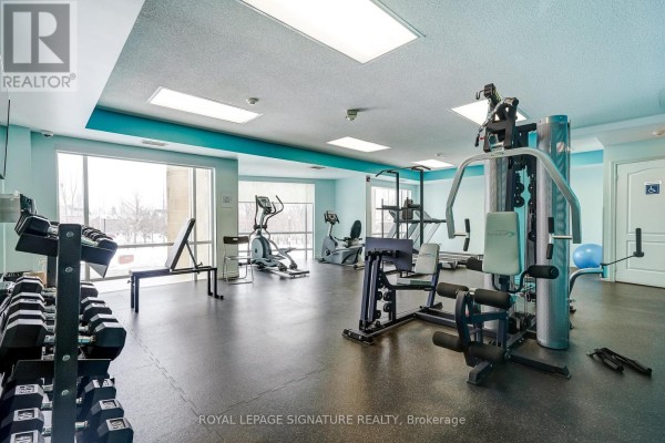 Gym with weights, ellipticals, and multi-gym - 301 - 483 Faith Drive Mississauga