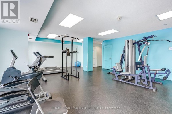 Gym with treadmill, elliptical, multi-gym, pull-up bar - 301 - 483 Faith Drive Mississauga