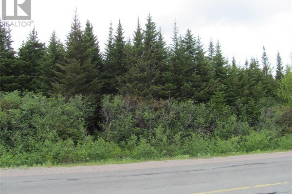 301-307 John Cabot Drive, Bonavista, NL A0C1B0 Photo 5