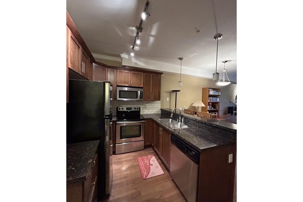 301 8168 120a Street, Surrey, BC V3W3P3 Photo 4