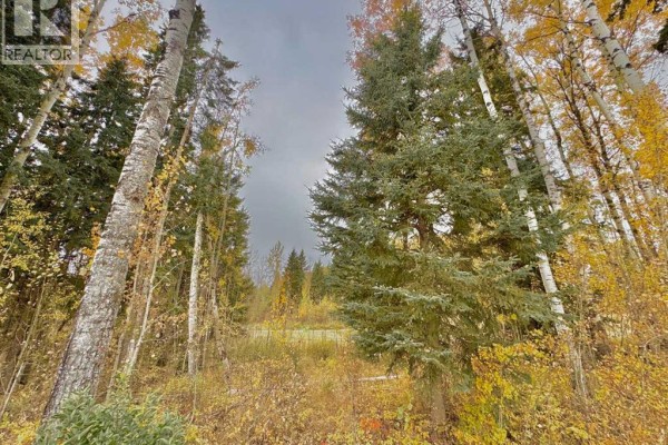 301 Valley View Drive, Rural Clearwater County, AB, photo 2