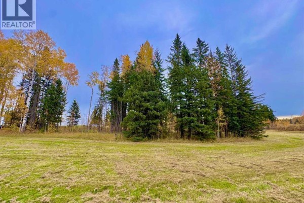 301 Valley View Drive, Rural Clearwater County, AB, photo 3
