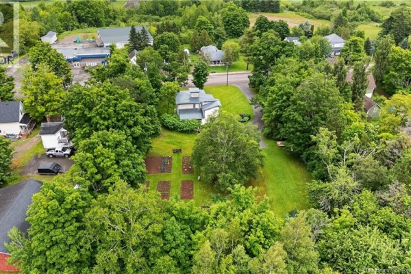 Overhead view of garden beds, trees, and a small blue pool in a grassy yard. - 3010 Main Street, Hillsborough