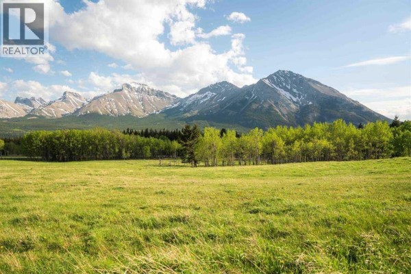 3019 Tecumseh Road, Rural Crowsnest Pass, AB T0K0M0 Photo 4