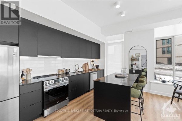 302 - 115 Echo Drive, Ottawa, ON K1S1M7 Photo 4