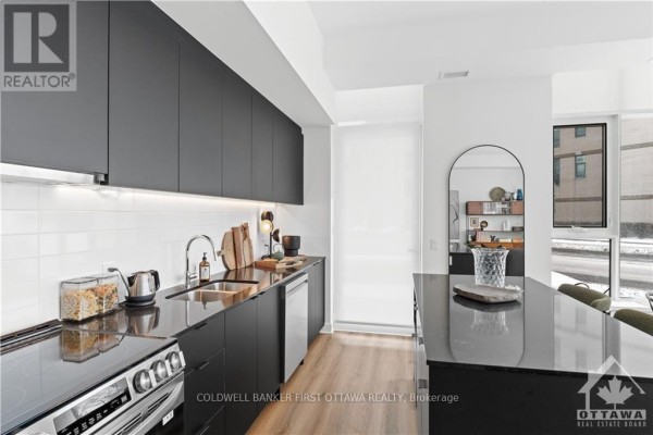 302 - 115 Echo Drive, Ottawa, ON K1S1M7 Photo 5