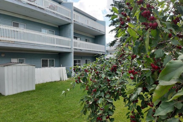 302 193 Watson Street, Winnipeg, MB, photo 3