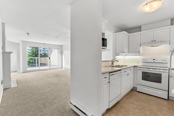 302 20448 Park Avenue, Langley, BC V3A4N3 Photo 4