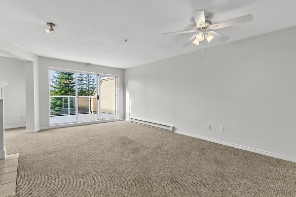 302 20448 Park Avenue, Langley, BC V3A4N3 Photo 5