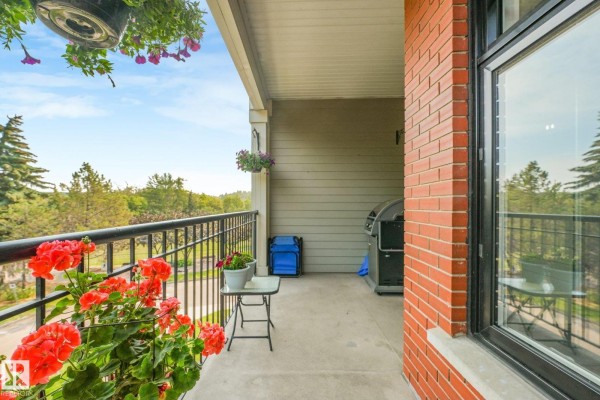 Den - #302 9811 96a St Nw, Edmonton, AB T6A4A4 Photo 4