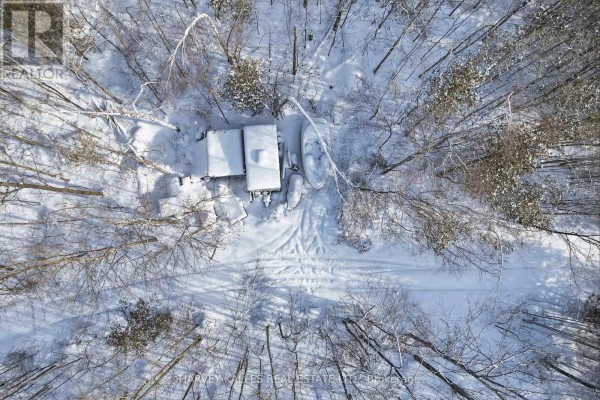 3020 Finley Road, Selwyn, ON K0L2H0 Photo 4