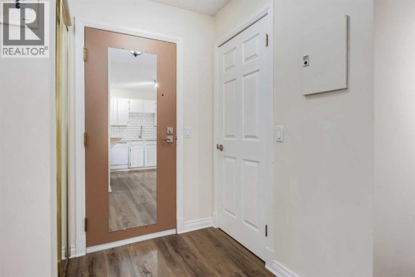 Interior entryway with a mirrored door, white closet door, and wood-look flooring. - 303, 730 2 Avenue Nw, Calgary