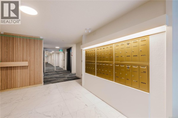 Apartment building hallway with gold mailboxes and wood accent wall. - 303 1031 Burdett Ave, Victoria