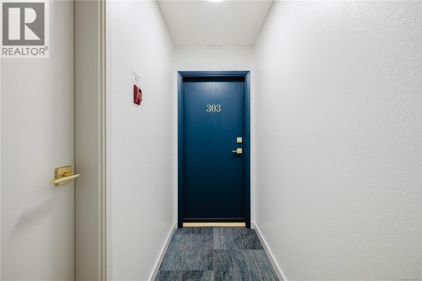 Apartment hallway with a blue door labeled 303 and textured walls. - 303 1031 Burdett Ave, Victoria
