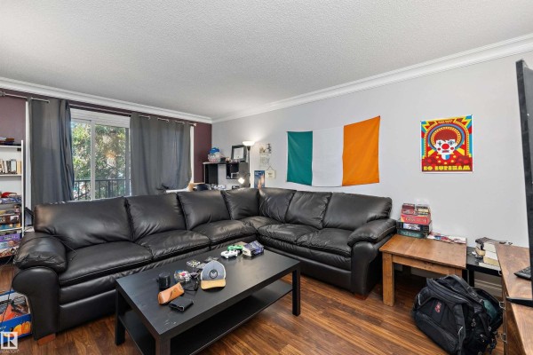 #303 10735 81 Av Nw, Edmonton, AB T6E1Y2 Photo 4