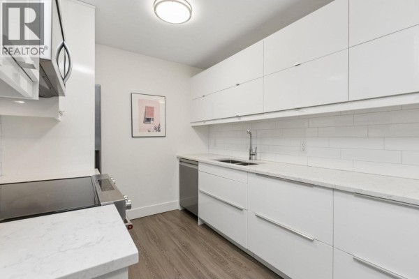 303 236 W 2nd Street, North Vancouver, BC V7M1C6 Photo 3