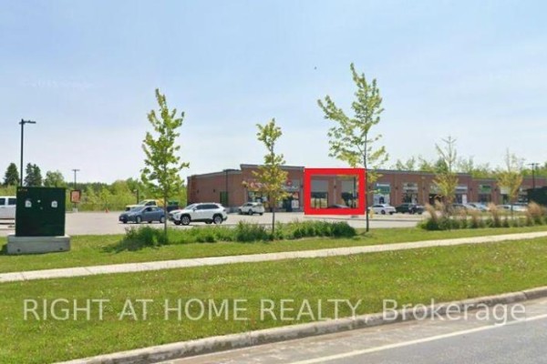 303 Col Phillips Drive, Shelburne, ON L9V3W1 Photo 3