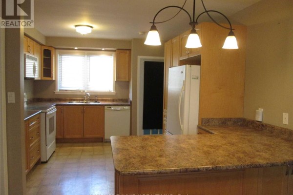 Kitchen - 303 Millard(main Level) Avenue, Newmarket, ON L3Y1Z3 Photo 3