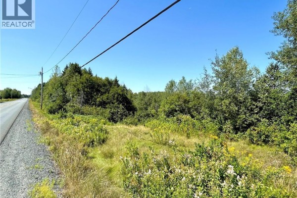 Dirt and gravel road next to a grassy field with trees and power lines under a blue sky. - 3036 Sq Mt Route 117, Black River Bridge