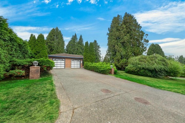 3039 163 St Street, Surrey, BC V3Z0E3 Photo 5