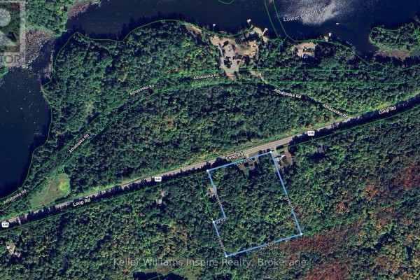 3044 Loop Road, Highlands East, ON, photo 3