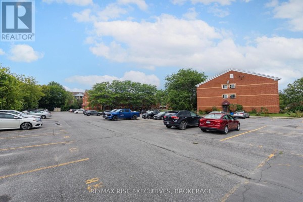 Ample parking lot with yellow lines marking spaces, alongside apartment buildings and trees. - 305 - 561 Armstrong Road, Kingston