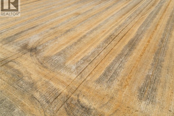 305 Acres - Sedley, Francis Rm No  127, SK S0G0J8 Photo 5