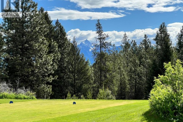 305 Corral Place, Cranbrook, BC V1C0C2 Photo 4