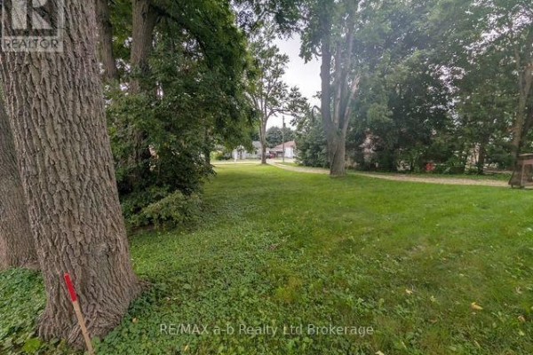 305 Hall Street, Ingersoll, ON N5C1V8 Photo 4