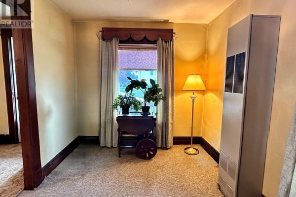 Carpeted living room with window, floor lamp, plants, and ventilation unit.