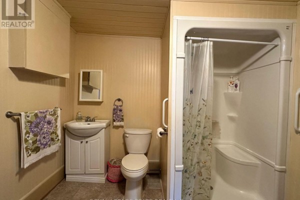 Bathroom with vanity, toilet, and shower stall - 305 North Cayuga Street W Haldimand