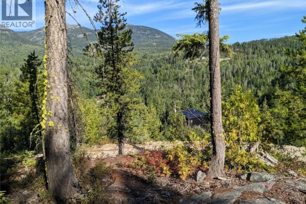Excavator parked on a gravel area with a forested backdrop. - 305 Richie Road, Rossland