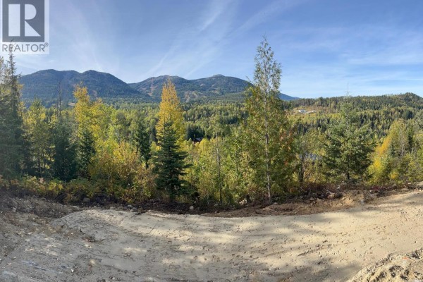 Rocky terrain along a dirt road with dense greenery on either side. - 305 Richie Road, Rossland