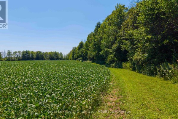305 Sideroad 25, Kincardine, ON N0G2T0 Photo 2