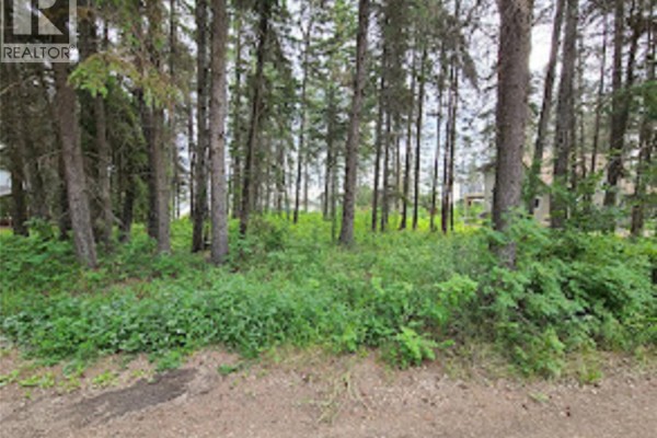 305 Spruce Road, Turtle Lake, SK S0M1J0 Photo 4