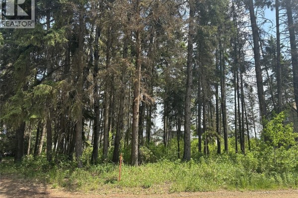 305 Spruce Road, Turtle Lake, SK S0M1J0 Photo 5