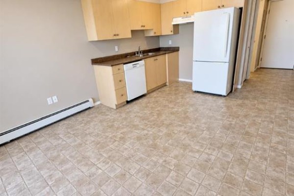 Kitchen - 306, 204 17 Street E, Brooks, AB T1R1R1 Photo 4