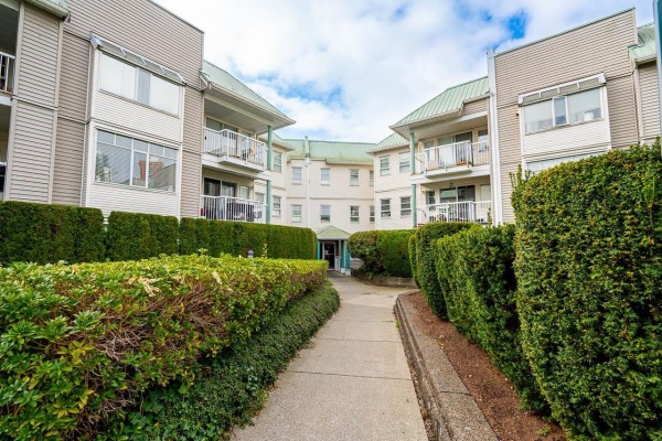306 9763 140 Street, Surrey, BC V3T4M4 Photo 3