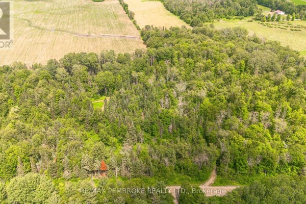 3068 Mclaughlin Road, Whitewater Region, ON, photo 3