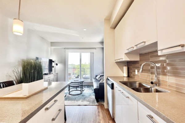 Kitchen - #307 10418 81 Av Nw, Edmonton, AB T6E1X5 Photo 3