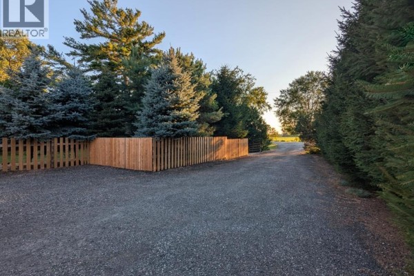 Gravel driveway with a newly built wooden fence and evergreen trees lining the property. - 30759 Cairo Road, Bothwell