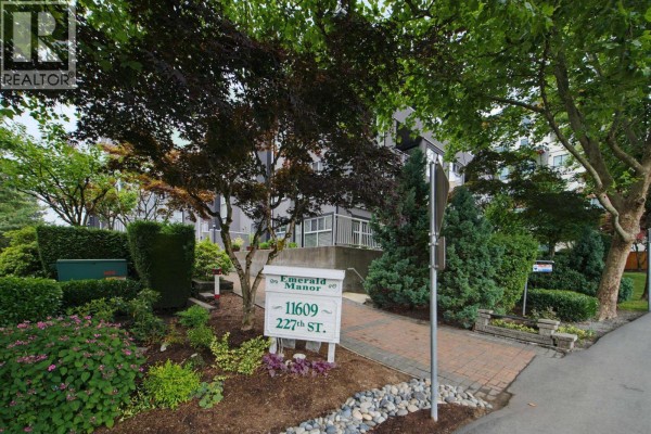 308 11609 227 Street, Maple Ridge, BC V2Z2Z9 Photo 3