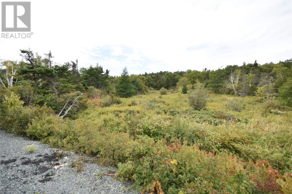 308-310 Anchorage Road, Conception Bay South, NL A1W4W3 Photo 2
