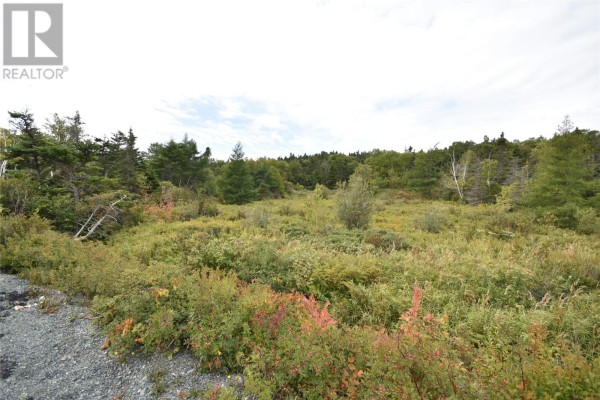 308-310 Anchorage Road, Conception Bay South, NL A1W4W3 Photo 3