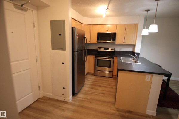 #308 3719 Whitelaw Ln Nw Nw, Edmonton, AB T6W2C3 Photo 3