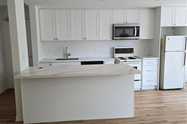 308 Egerton Street, London, ON N5Z2G7 Photo 4