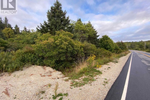 308 Highway, Morris Island, NS B0W3M0 Photo 4