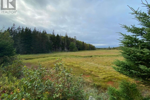 308 Highway, Morris Island, NS B0W3M0 Photo 5