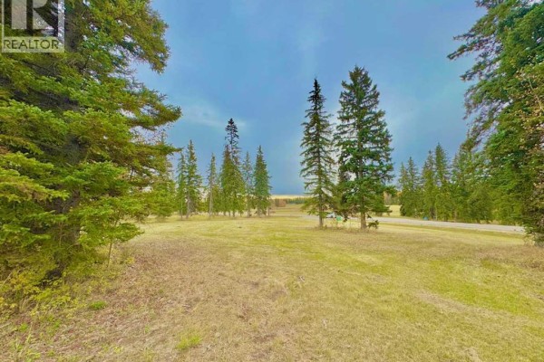 308 Valley View Drive, Rural Clearwater County, AB, photo 3